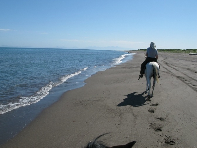  Galopa na praia 